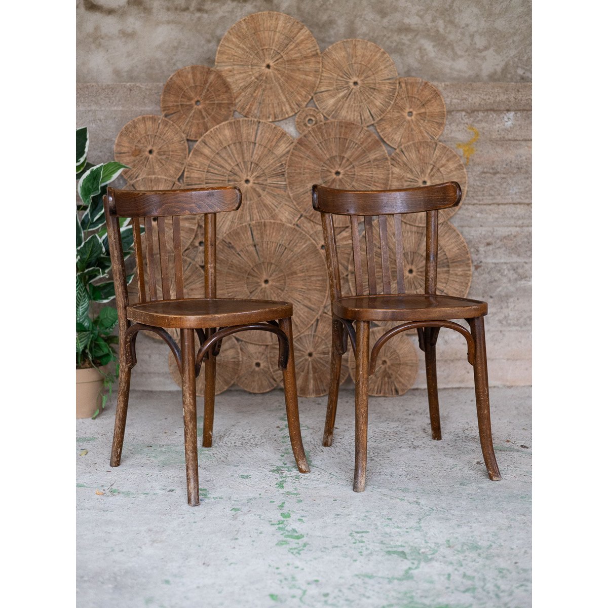 Paire de chaises bistrot Alma N°2043 - Bon état bois foncé, DEBONGOUT