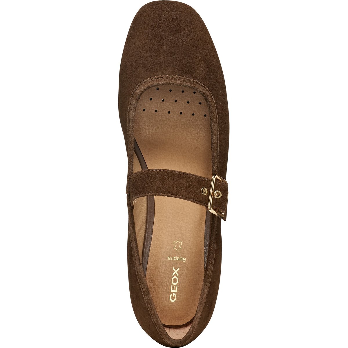 Ballerines D AZLEA marron foncé, GEOX