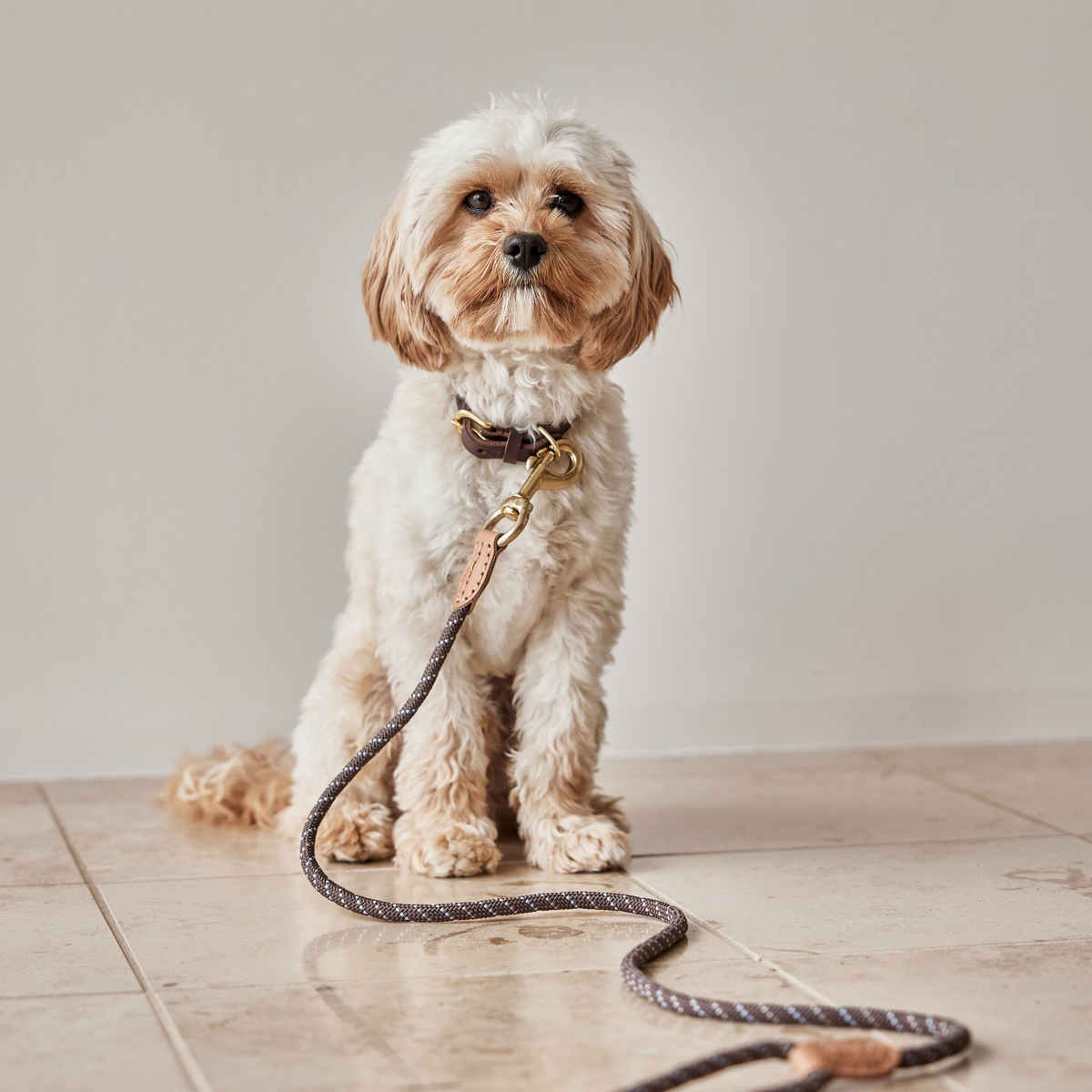Laisse en cuir LIVING beige, OYOY LIVING DESIGN