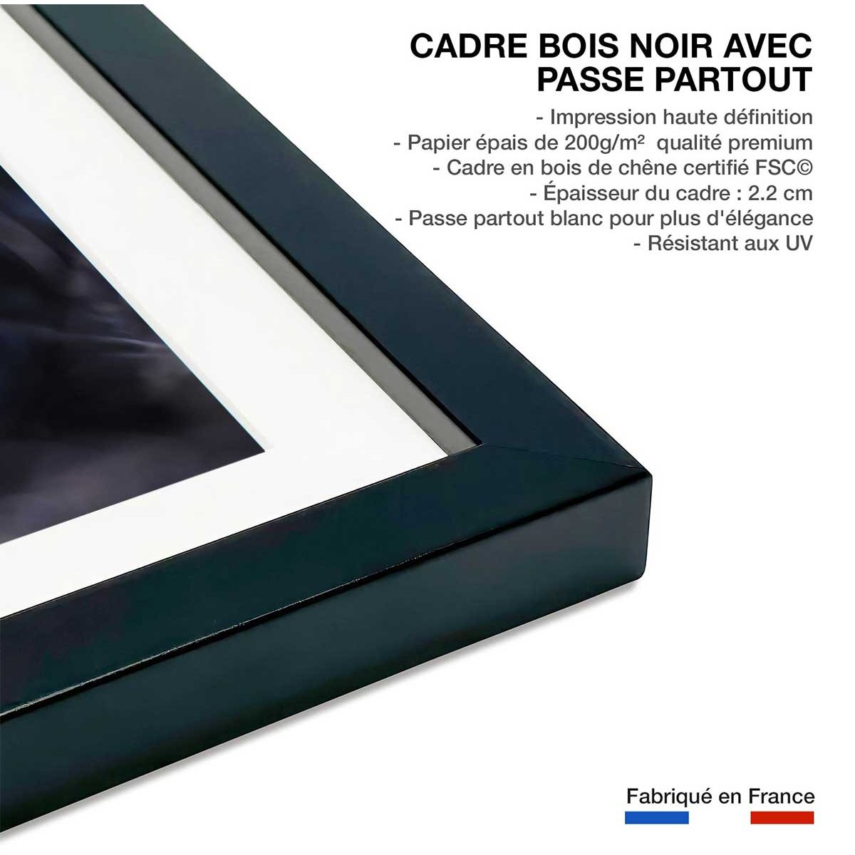 Poster animaux La petite étoile d' equateur affiche + cadre en bois - noir, HEXOA