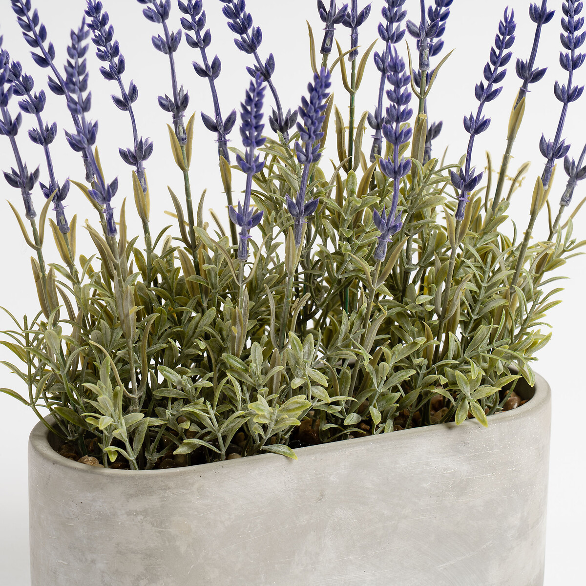 33cm Lavender in Oval Trough Planter purple, SO'HOME