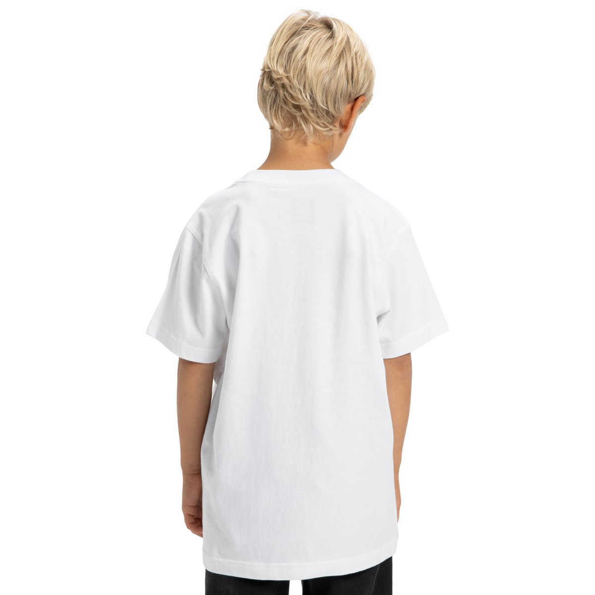 T-shirt à manches courtes. blanc white, DC SHOES