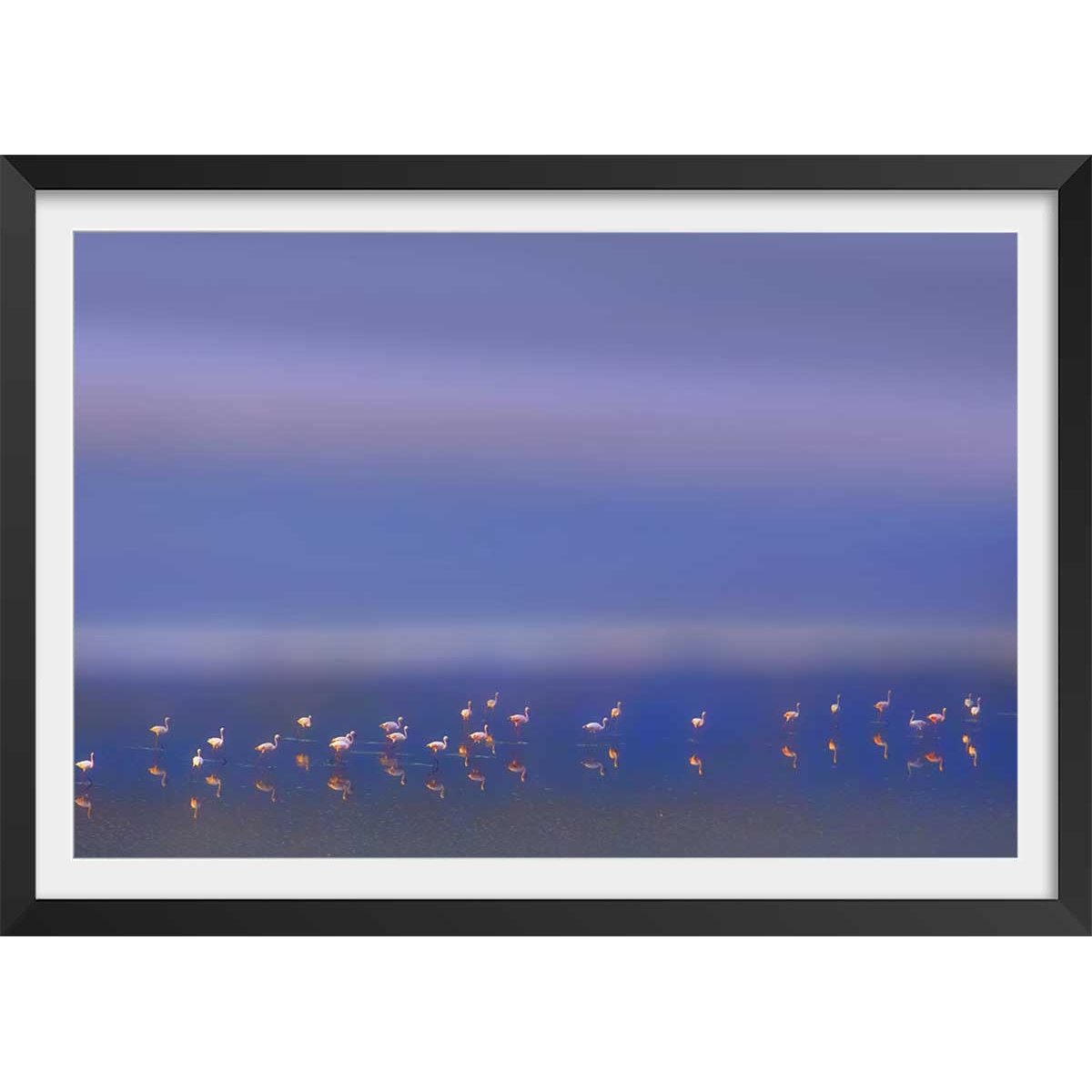 Affiche Flamants Tôt le matin affiche + cadre en bois - noir, HEXOA