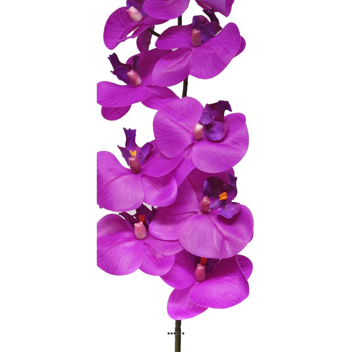 Tige orchidée phalaenopsis faux 9fleurons Rea pourpre, ARTIFICIELLES