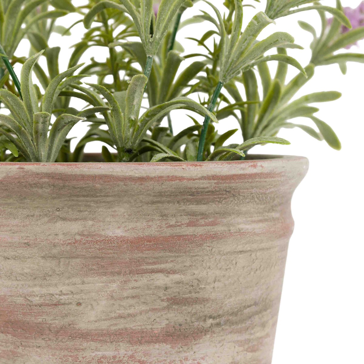 30cm Potted Rustic Lilac Lavendar in Terracotta Pot purple, ÉDITÉ