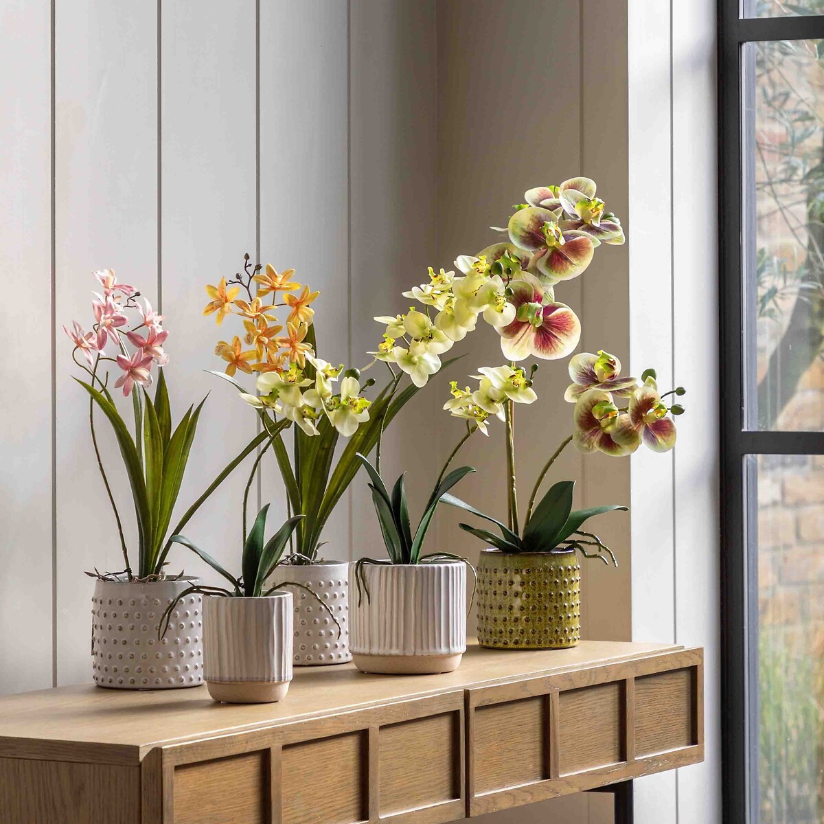 50cm Multicolour Orchid in Moss Ceramic Dot Pot multi-coloured, ÉDITÉ