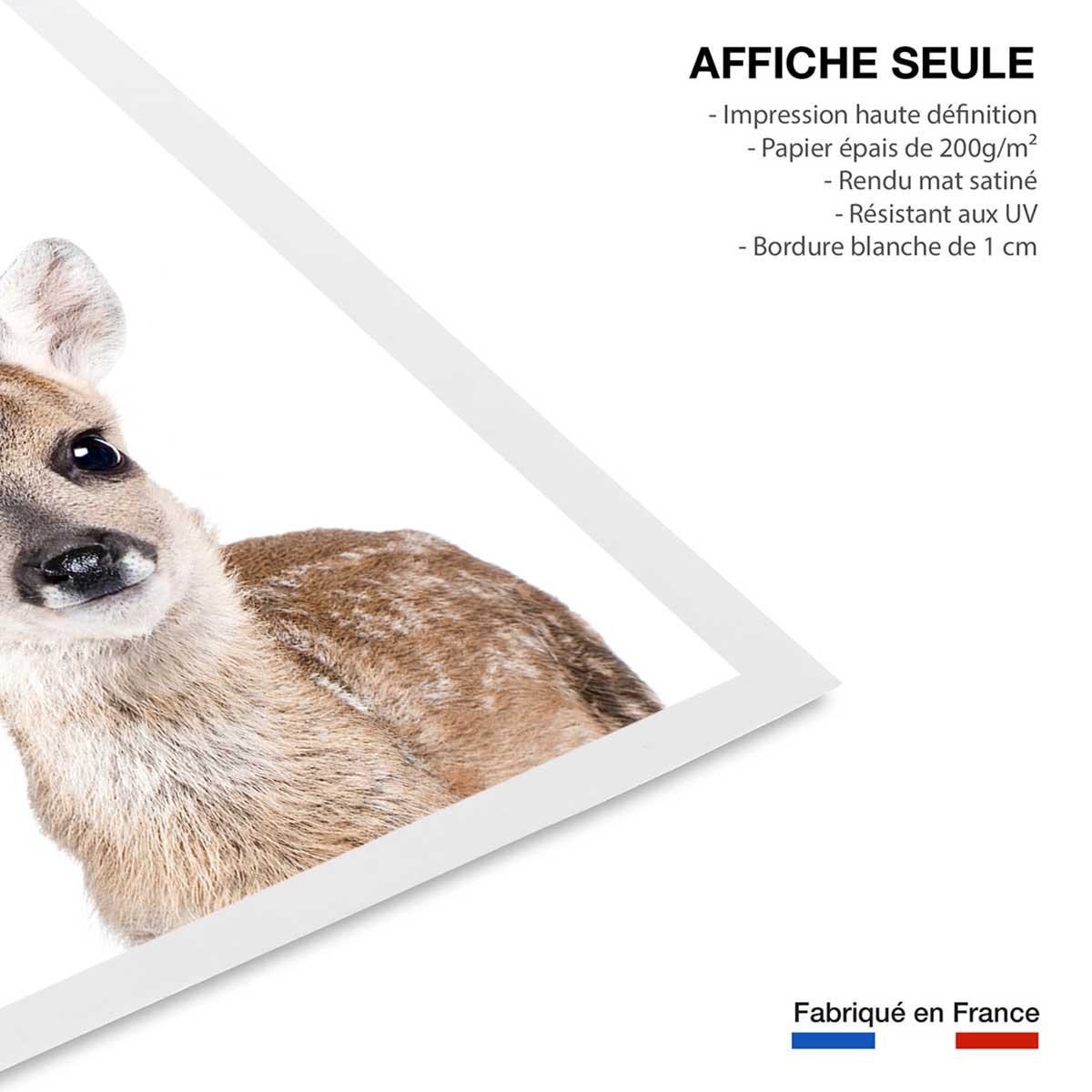 Affiche enfant bébé biche affiche seule, HEXOA