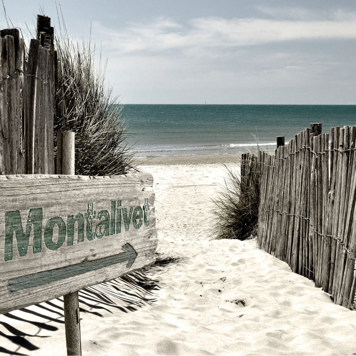 Tableau Mural Panneau Montalive PLAGE tableaux sur toile-beige, CEANOTHE