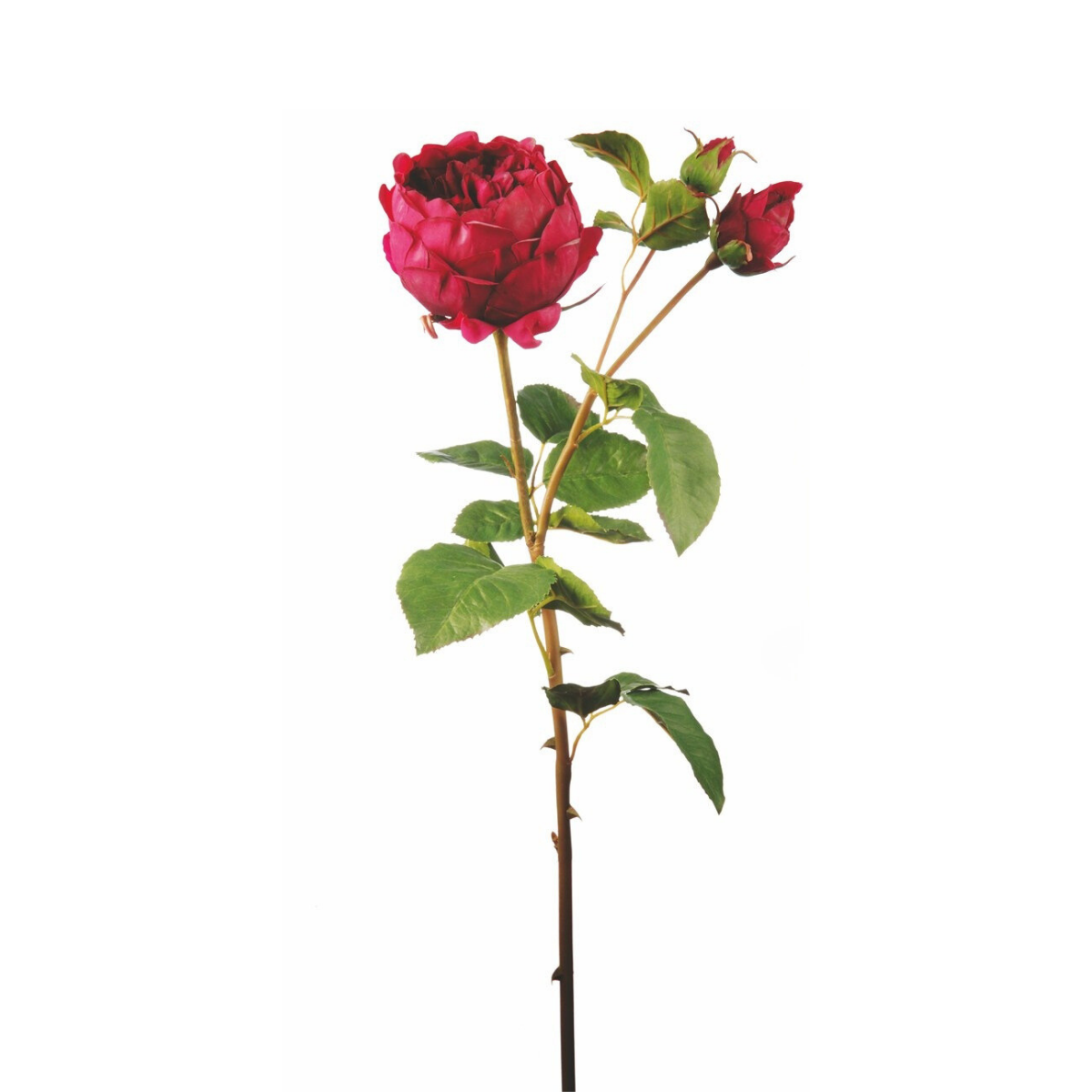 Tige de rose fermée artificielle H80 DAVID framboise, SIA DECO