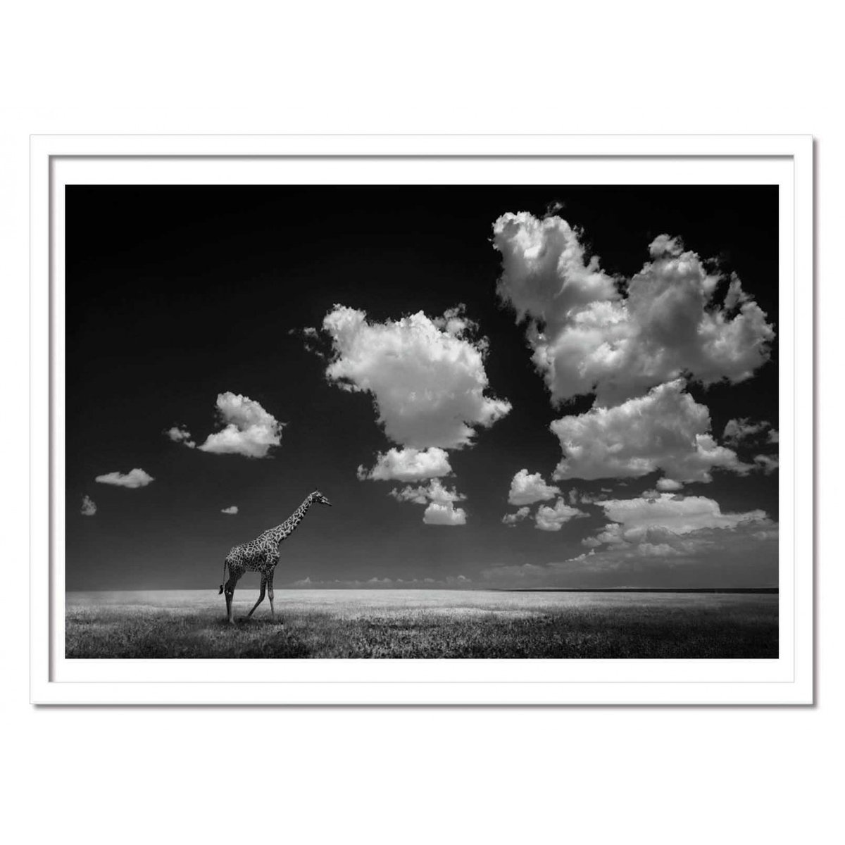 Affiche d'art - Gone with the Clouds - Alberto Ghizzi Panizza affiche d'art, WALL EDITIONS