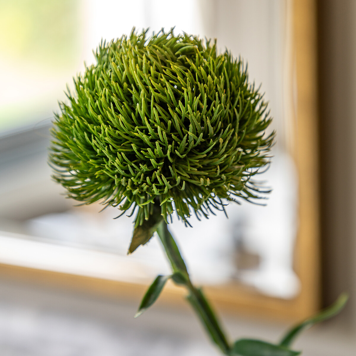 12pk 54cm Statement Bloom Faux Stems green, ÉDITÉ