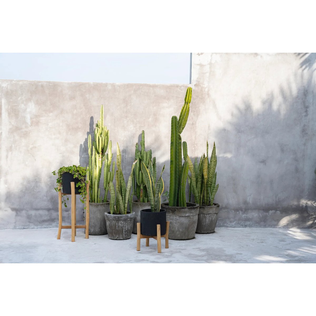 Cache-pot en terre cuite et bois CHARCOAL noir beige, BAZAR BIZAR