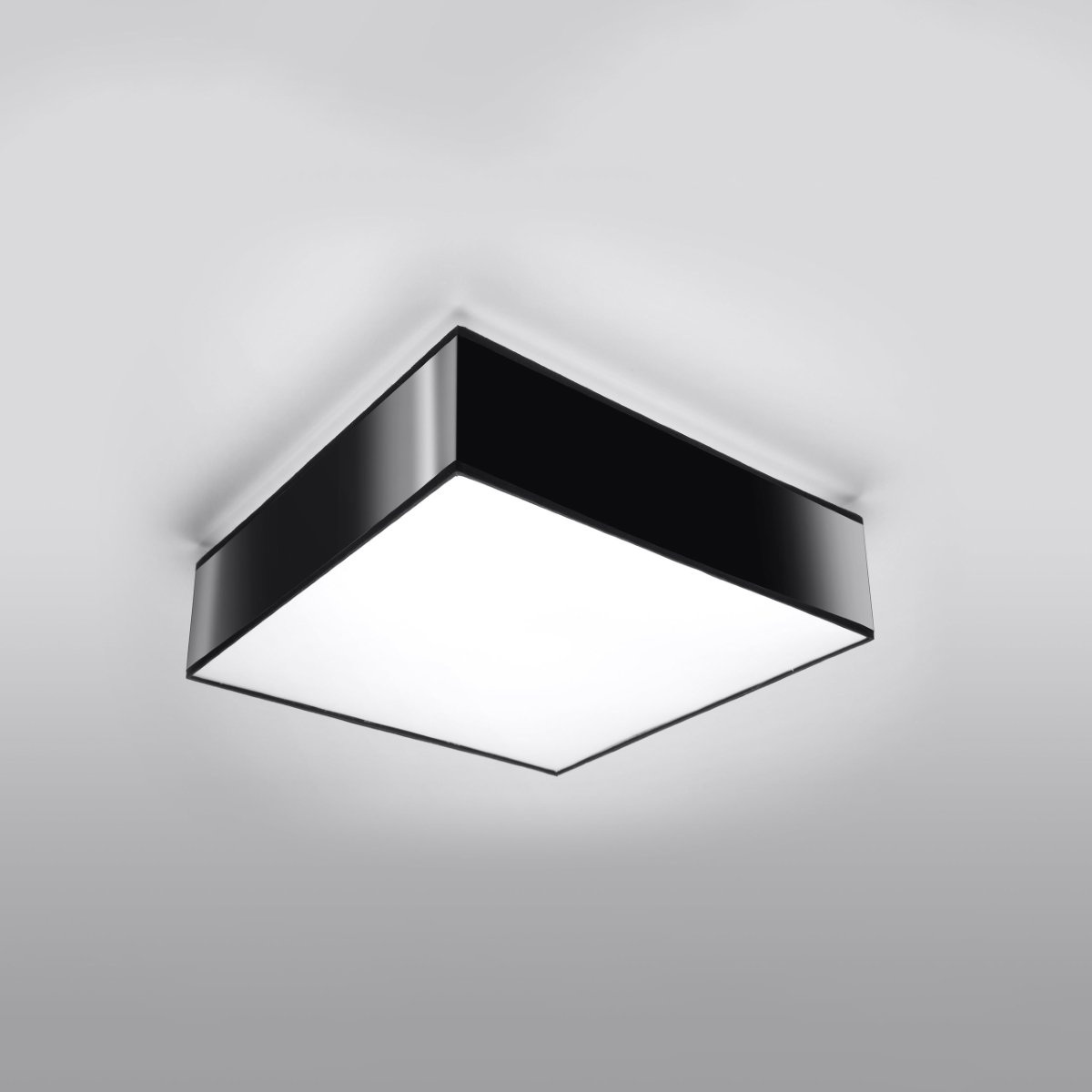 Plafonnier PVC Noir E27 2 Horus noir, EDEN