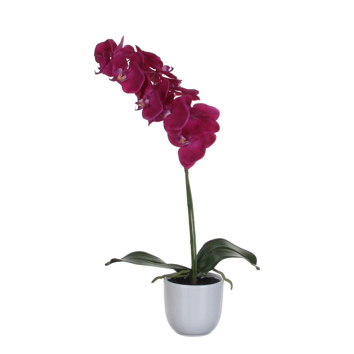 Plante artificielle PHALAENOPSIS violet, MICA DECORATIONS