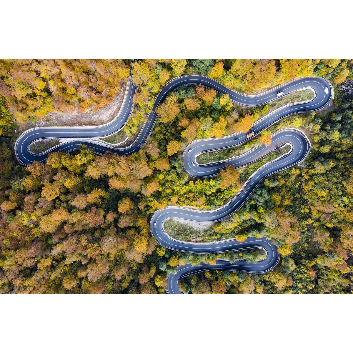 Tableau Route d' automne tableau alu dibond, HEXOA