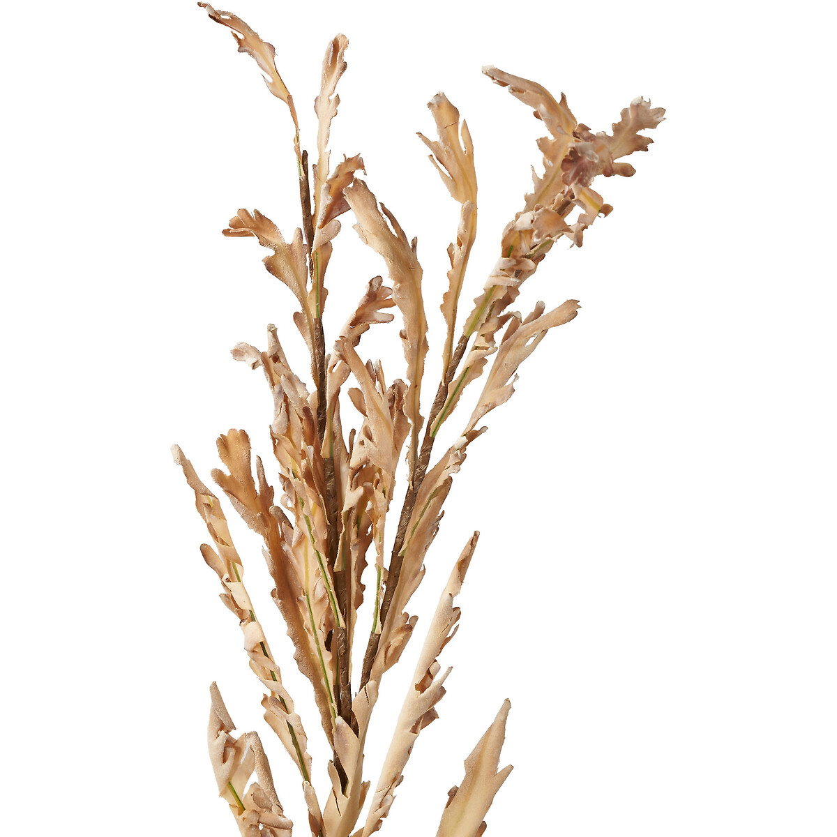 Set of 6 109cm Natural Apricot Autumn Leaf Stems natural, ÉDITÉ