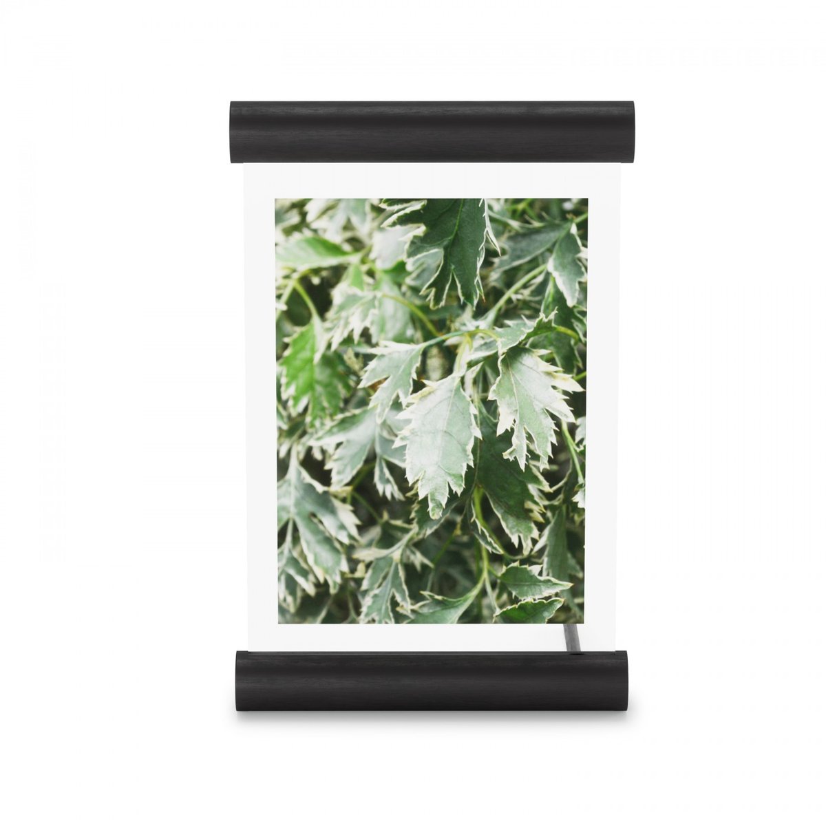 Cadre Scroll pour Photo 13 x 18 cm noir, UMBRA