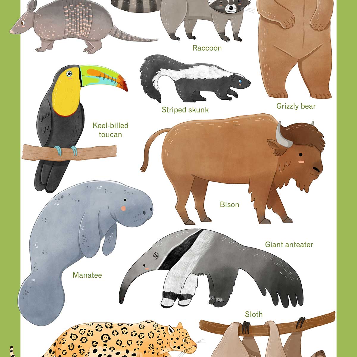 Affiche enfant animaux d'amérique affiche seule, HEXOA