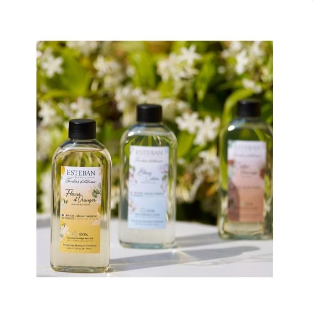 Parfum d'intérieur - Recharge Fleur d'Oranger 200 ml transparent, ESTEBAN