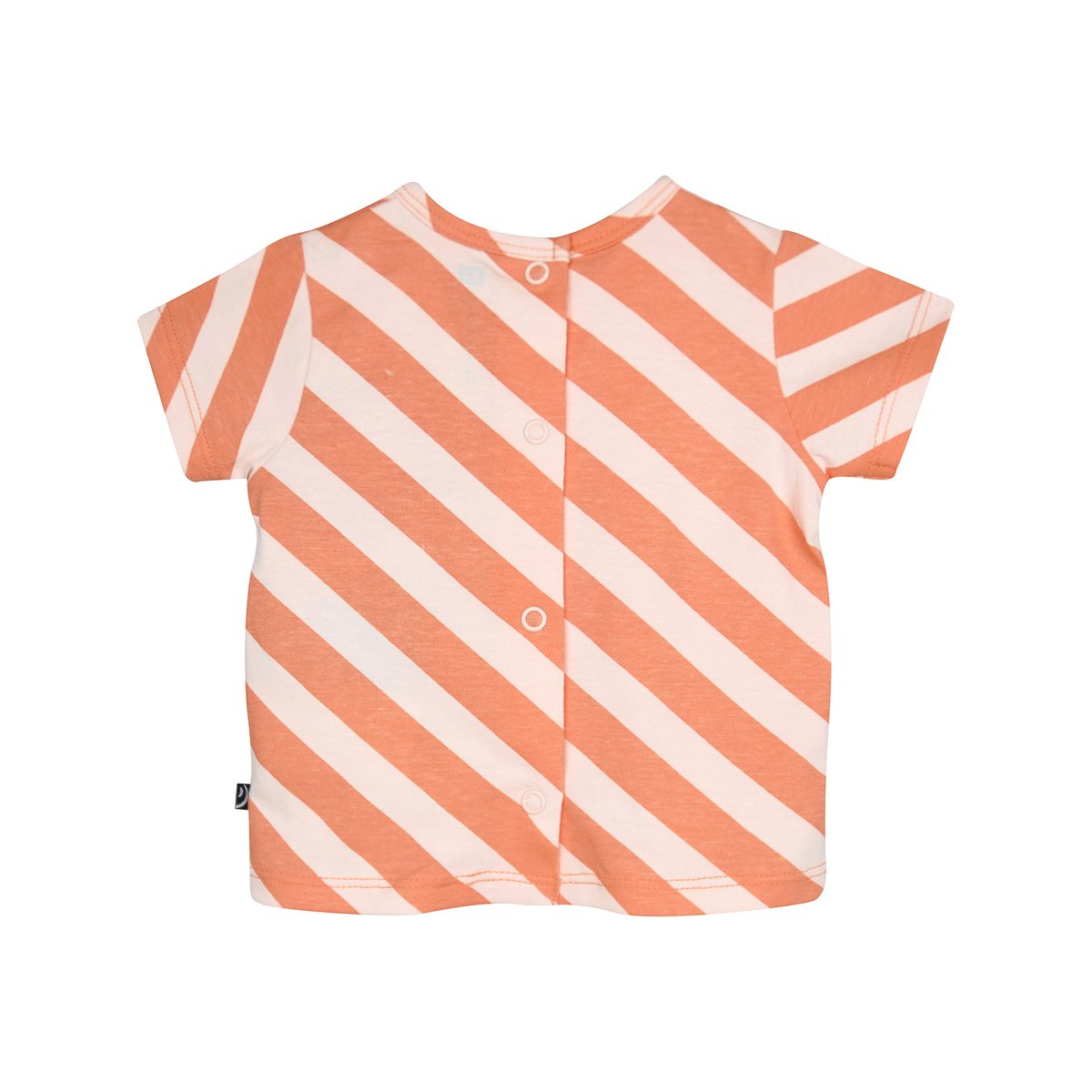 Ensemble t-shirt bermuda renso rose, SUCRE D'ORGE