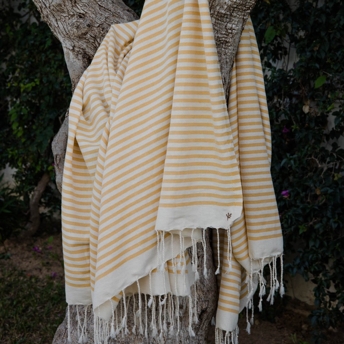 Lot de 2 foutas XXL coton HOSSEGOR jaune moutarde, FEBRONIE