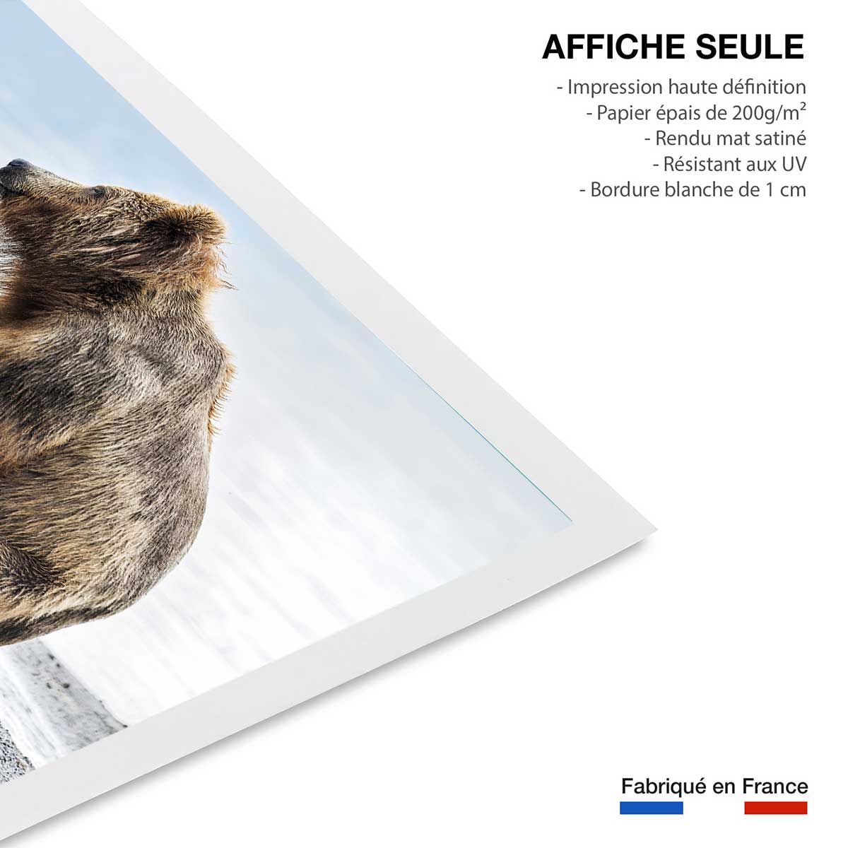 Affiche animaux profile Family affiche seule, HEXOA