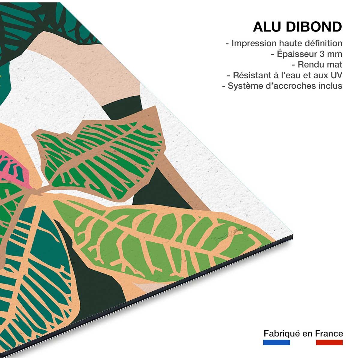 Tableau colorful plants tableau alu dibond, HEXOA