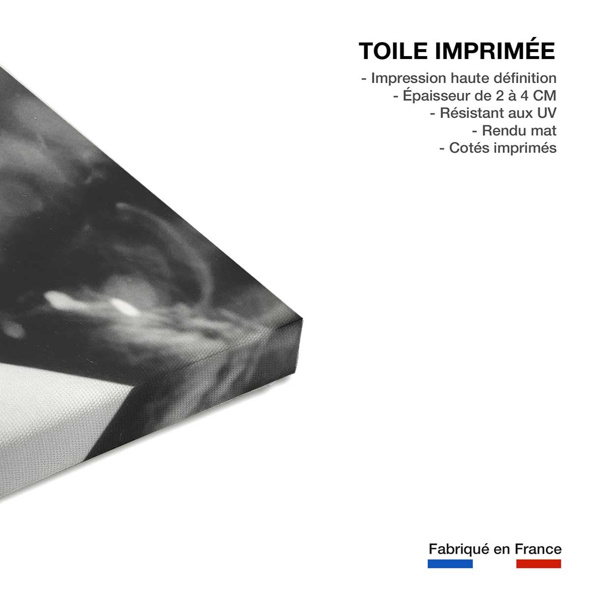 Tableau dalida en 1961 toile imprimée, HEXOA