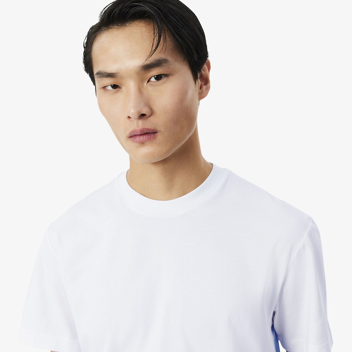 T-shirt classic fit en coton imprimé blanc, LACOSTE