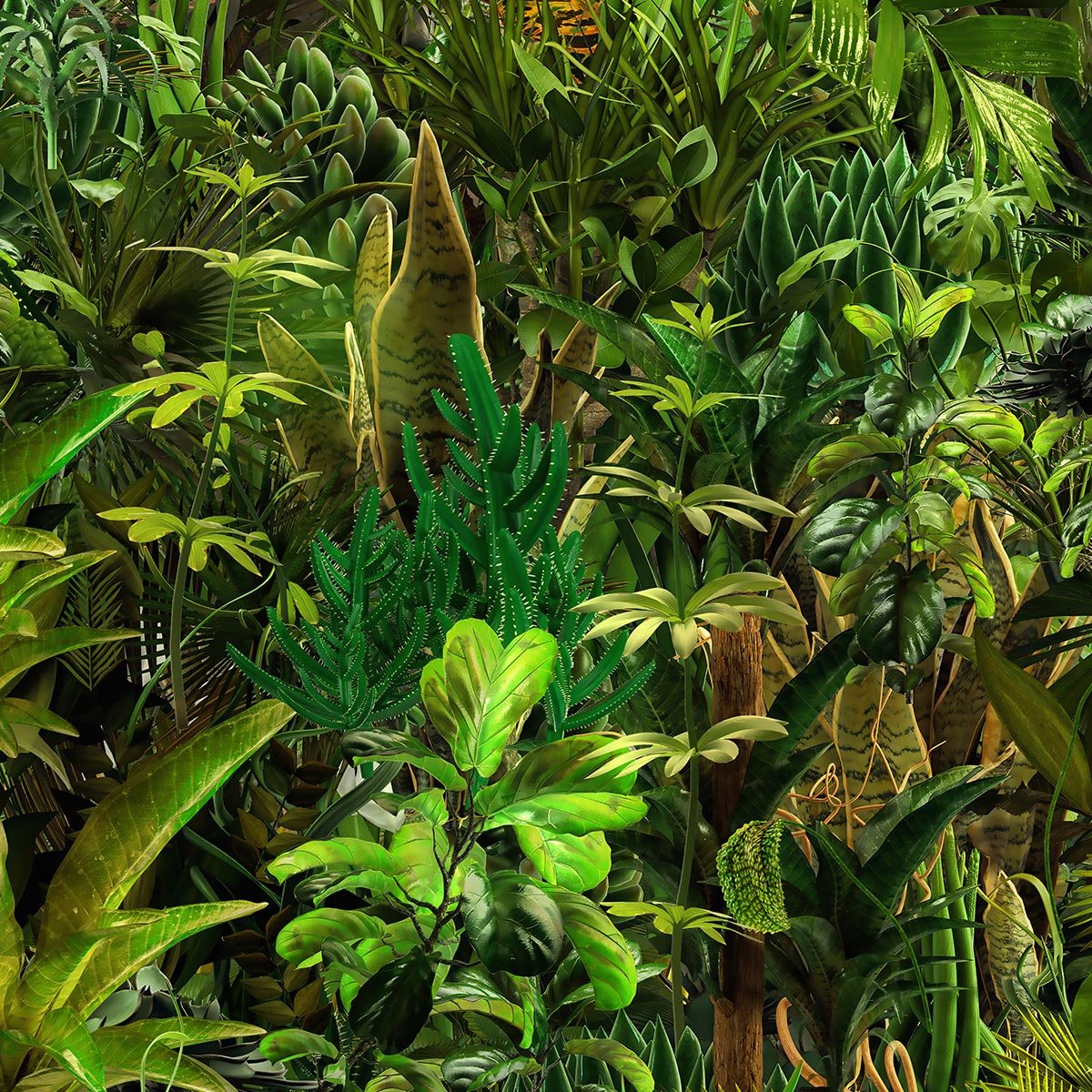 Papier peint panoramique palmier paradis vert intissé, HEXOA