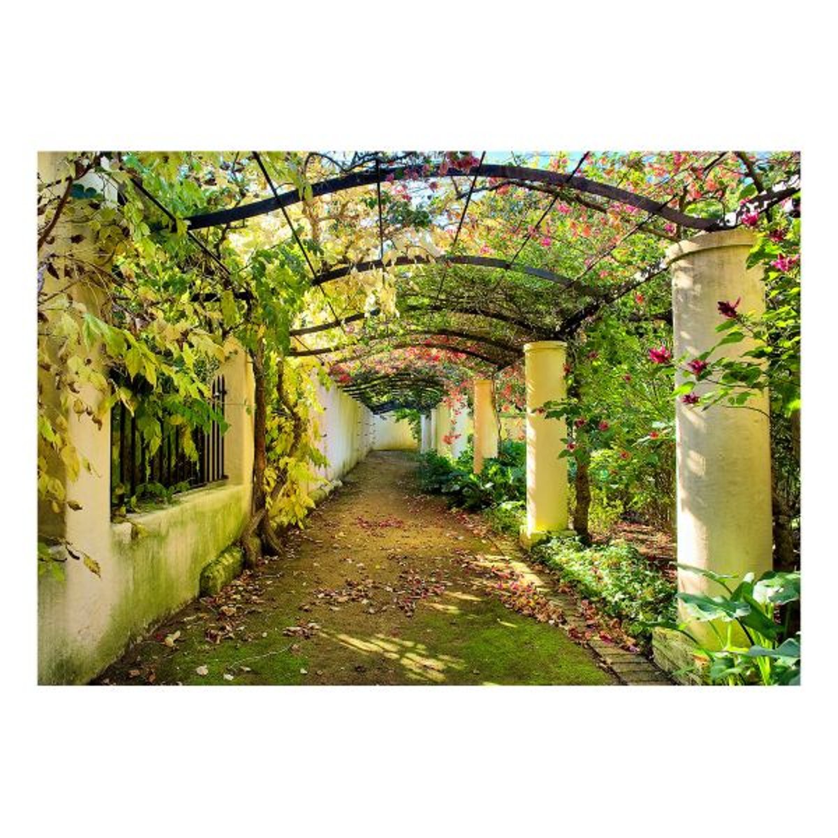 Papier peint intissé panoramique 3D et Perspective Pergola vert, EDEN