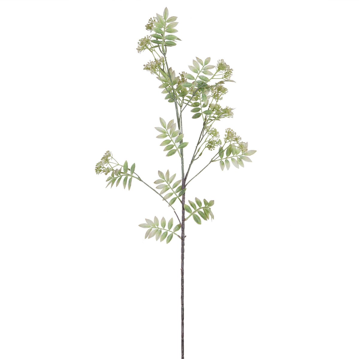 Feuillage avec fleurs artificielles H110 LES ESSENTIELS blanc, SIA