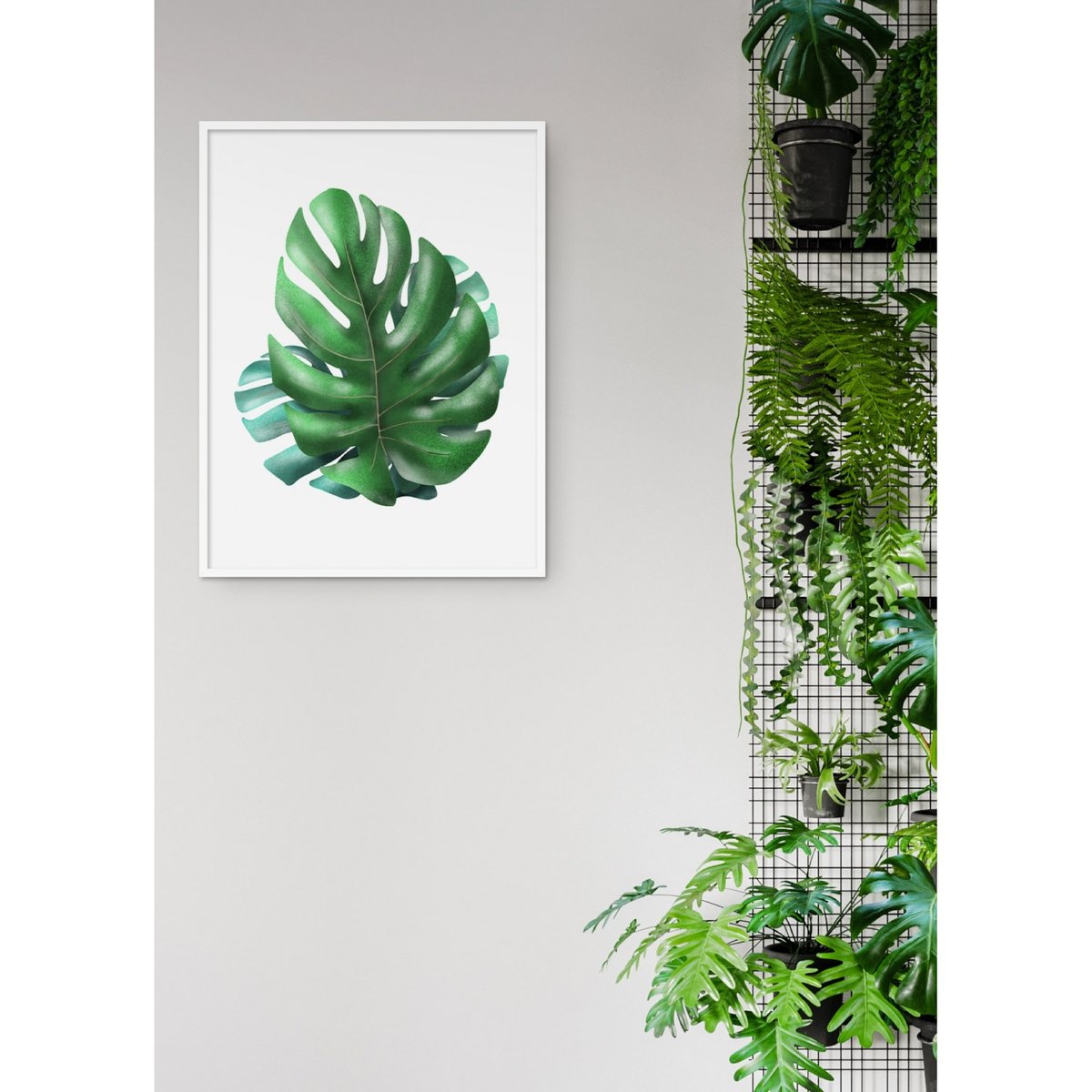 Affiche Monstera blanc, L'AFFICHERIE
