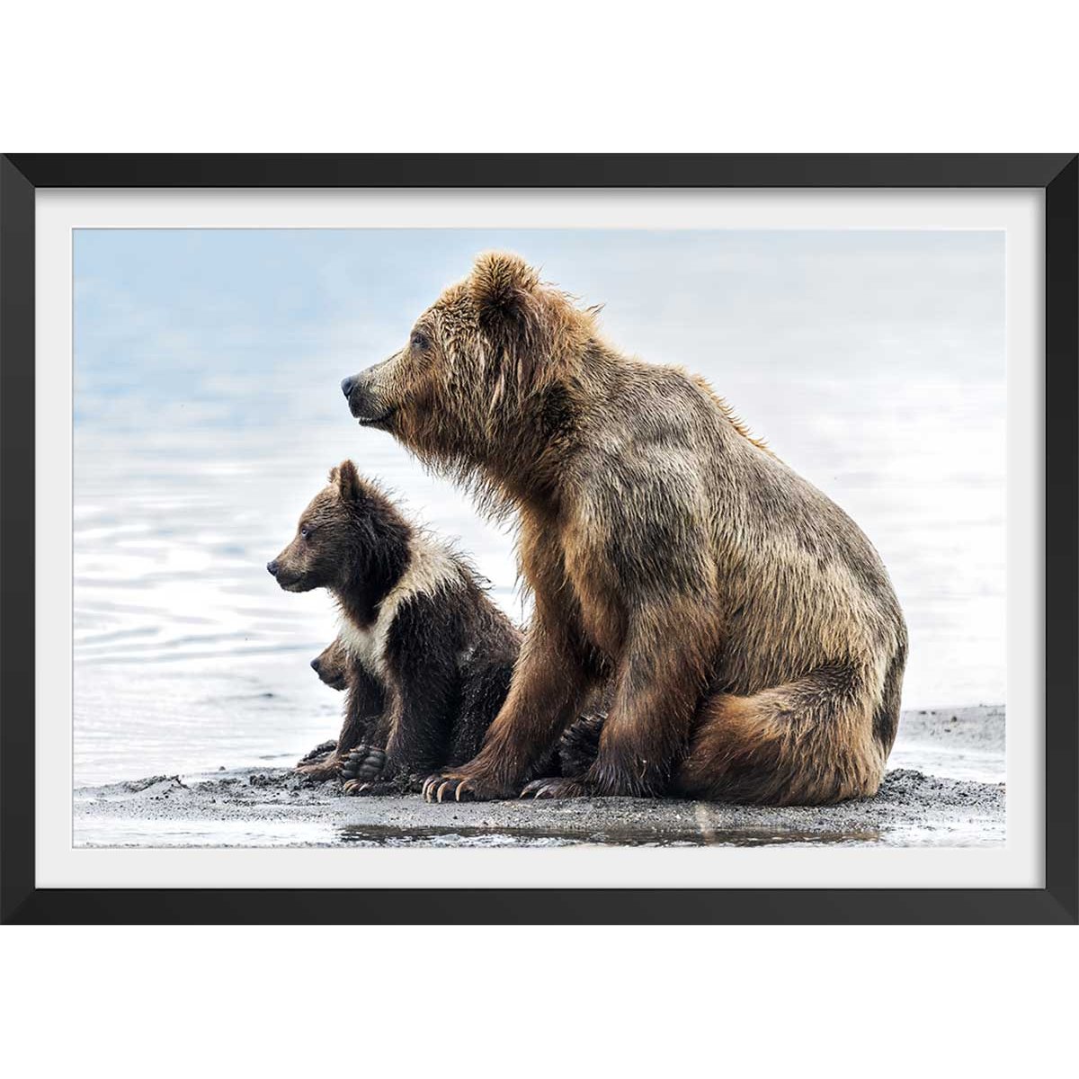 Affiche animaux profile Family affiche + cadre en bois - noir, HEXOA