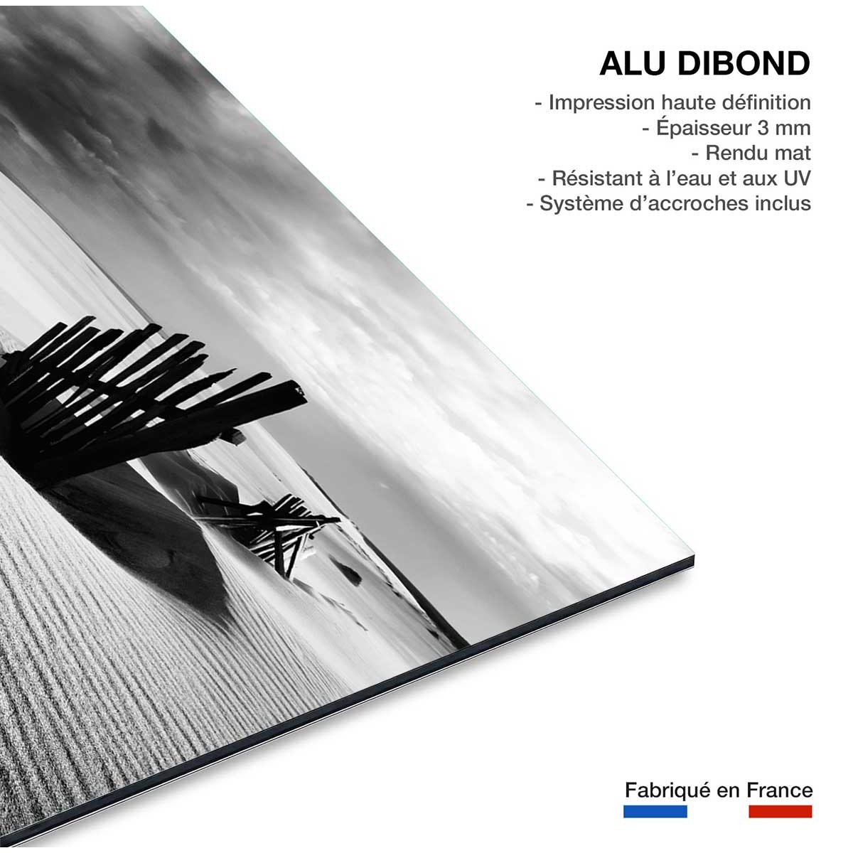 Tableau dunes tableau alu dibond, HEXOA