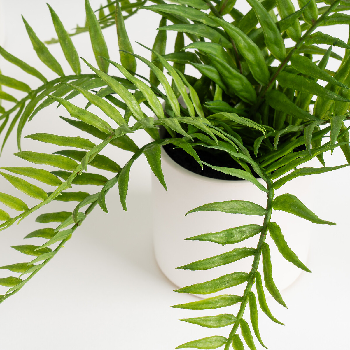 Set of 2 Ferns in White Ceramic Pot green, SO'HOME