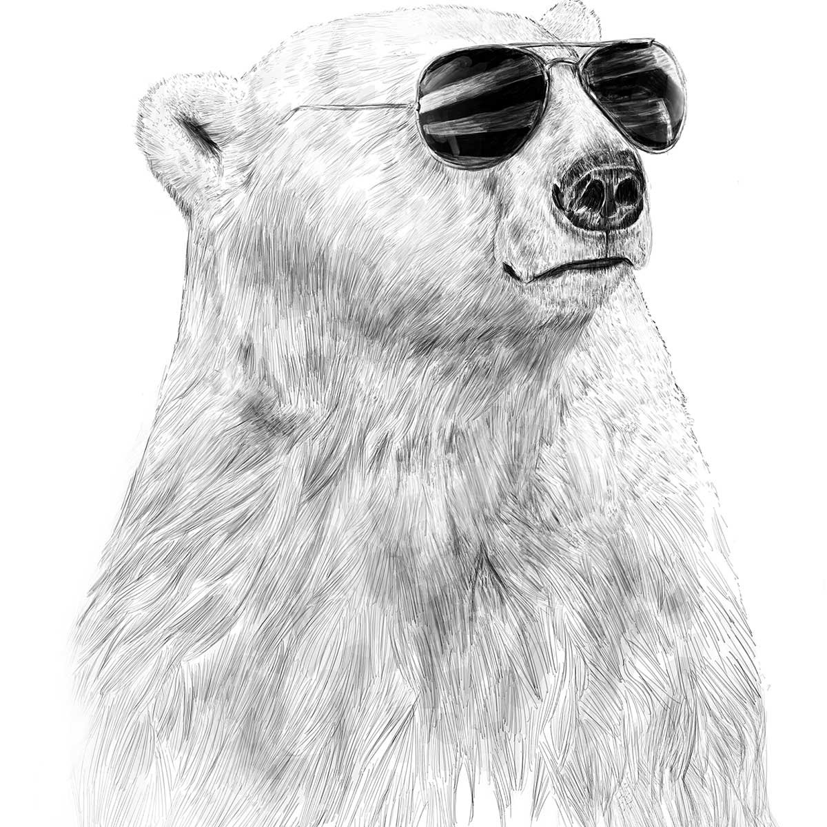 Affiche enfant ours polaire et lunette affiche seule, HEXOA