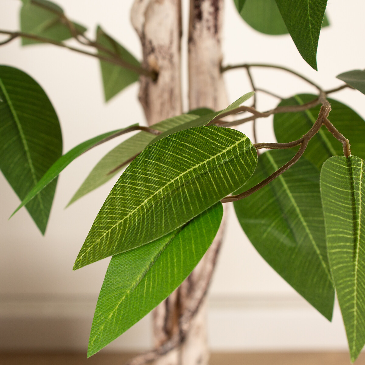 160cm Ficus Tree in Cement Pot green, SO'HOME