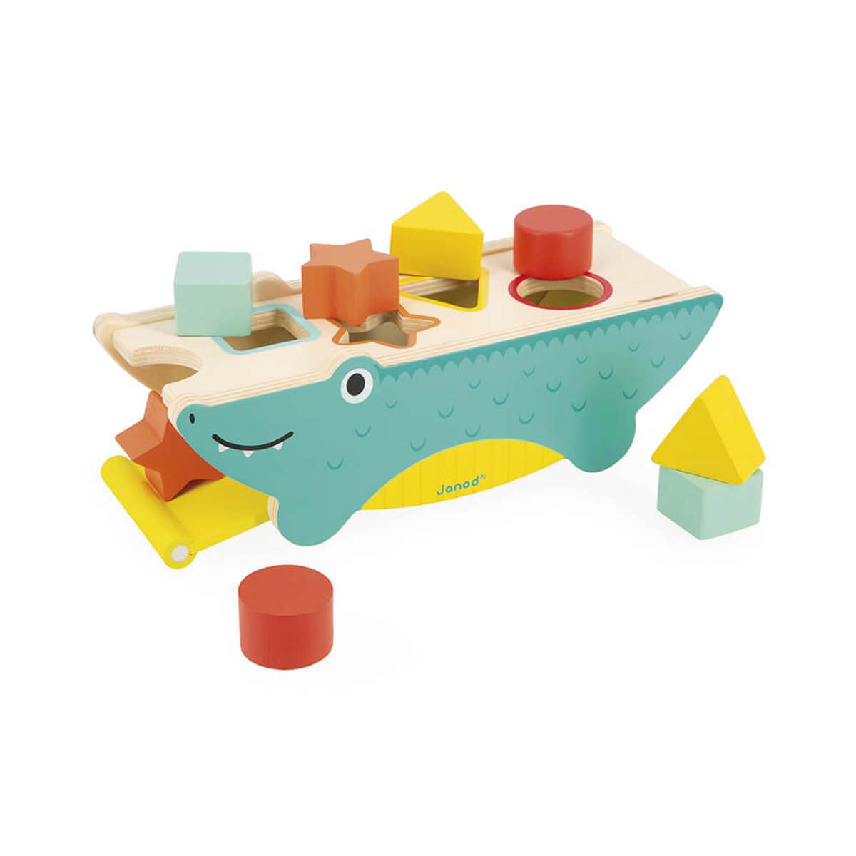 Tropik - Croco Des Formes vert, JANOD