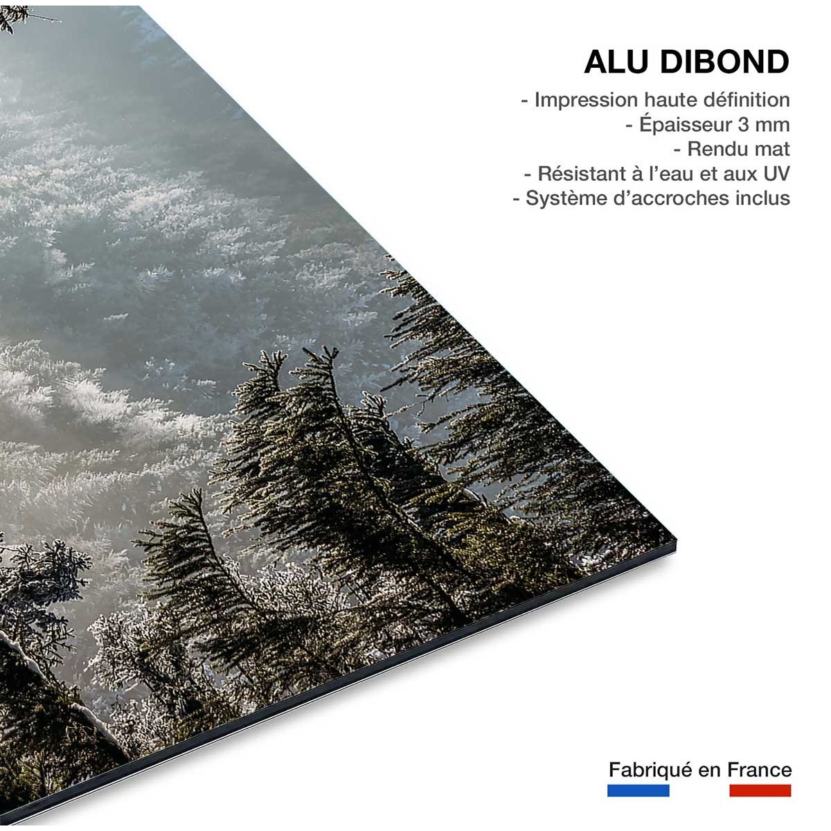 Tableau forest in fog drama tableau alu dibond, HEXOA