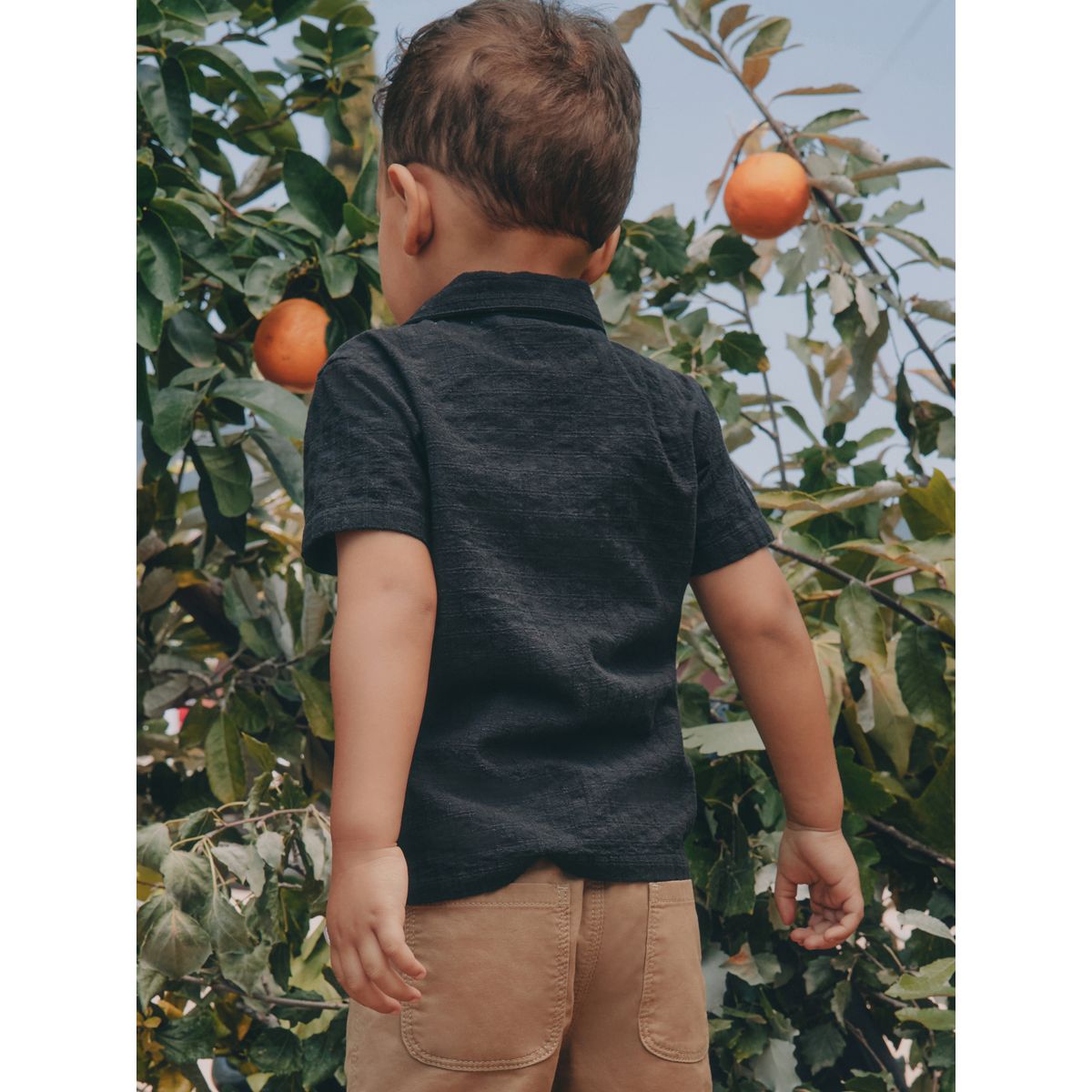 Chemise manches courtes avec broderie fleur brodée noire, NEXT