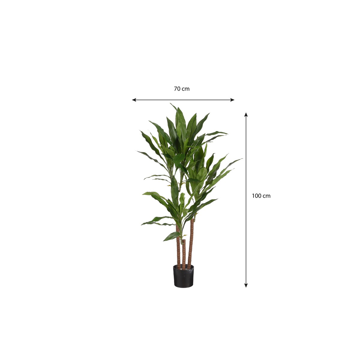 Plante artificielle DRACAENA vert, MICA DECORATIONS