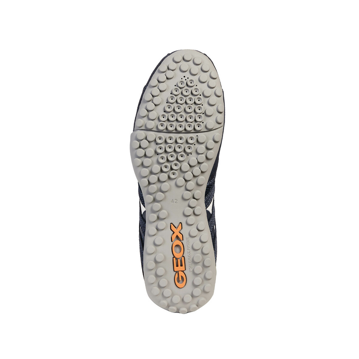 Baskets Snake bleu marine, GEOX