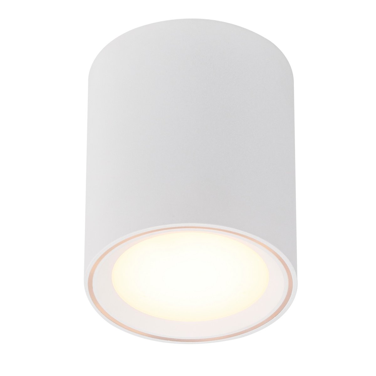 Spot LED pour plafond - gradation Moodmaker™ cylindrique en métal, FALLON blanc, NORDLUX