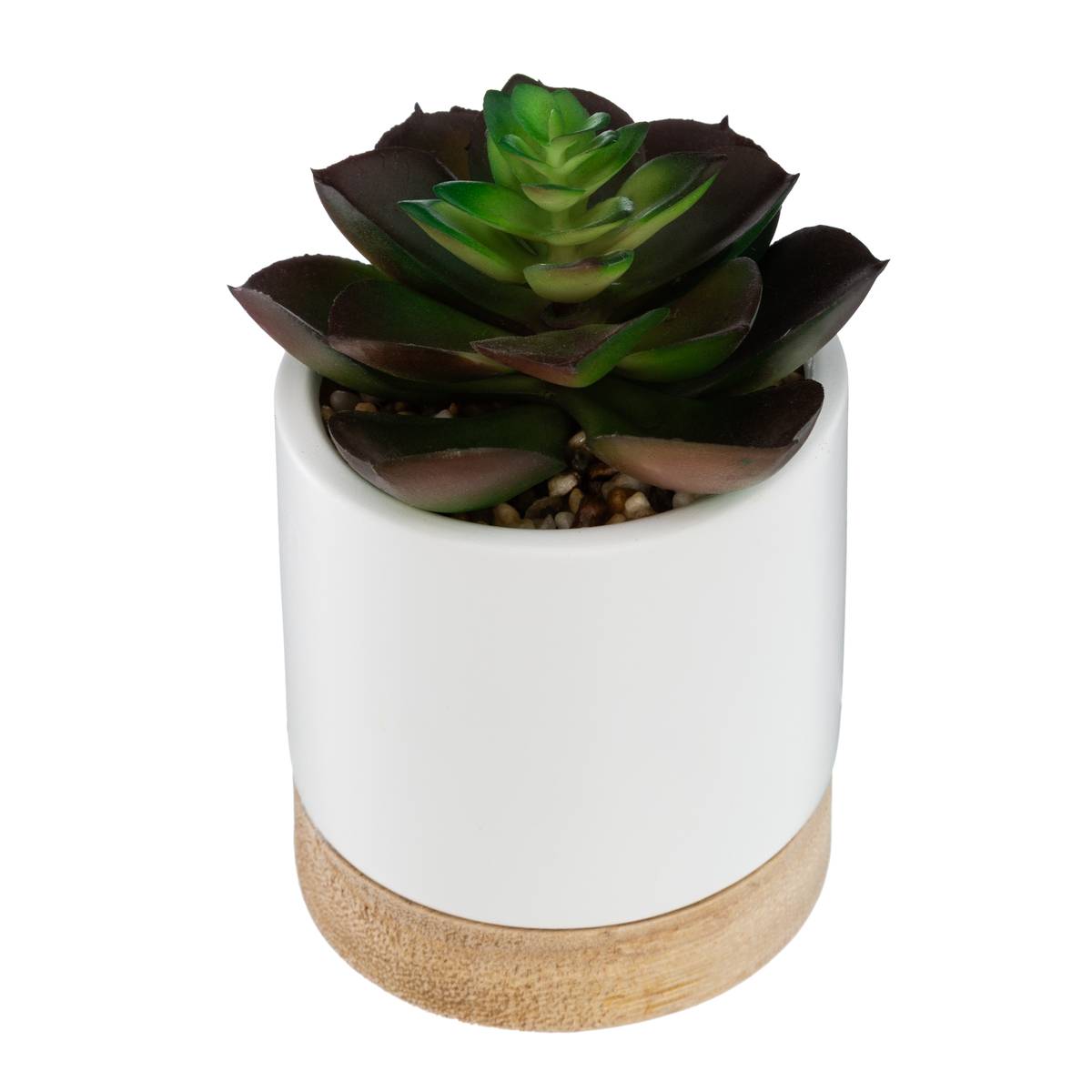 Succulente artificielle ARTY vert clair, ATMOSPHERA