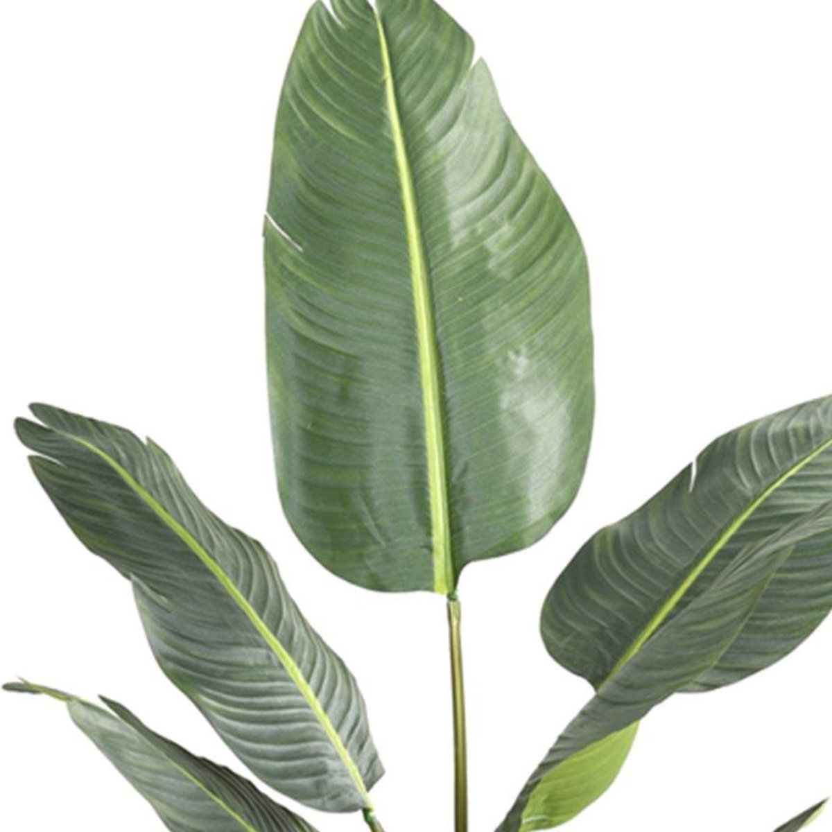 Palmier Arbre du voyageur artificiel H 135 cm v002239, ARTIFICIELLES