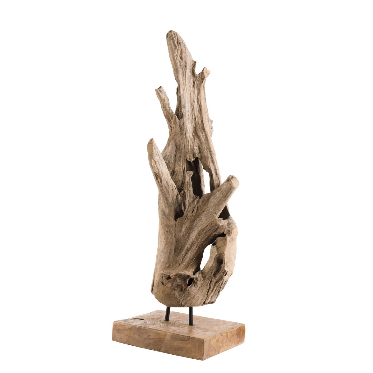Racine de teck décorative POLO bois naturel, PIER IMPORT