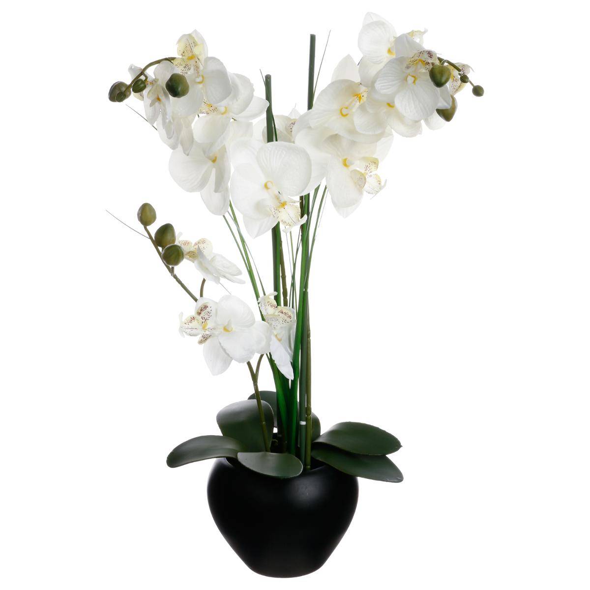 Orchidée artificielle ORCHIDEE noir, ATMOSPHERA
