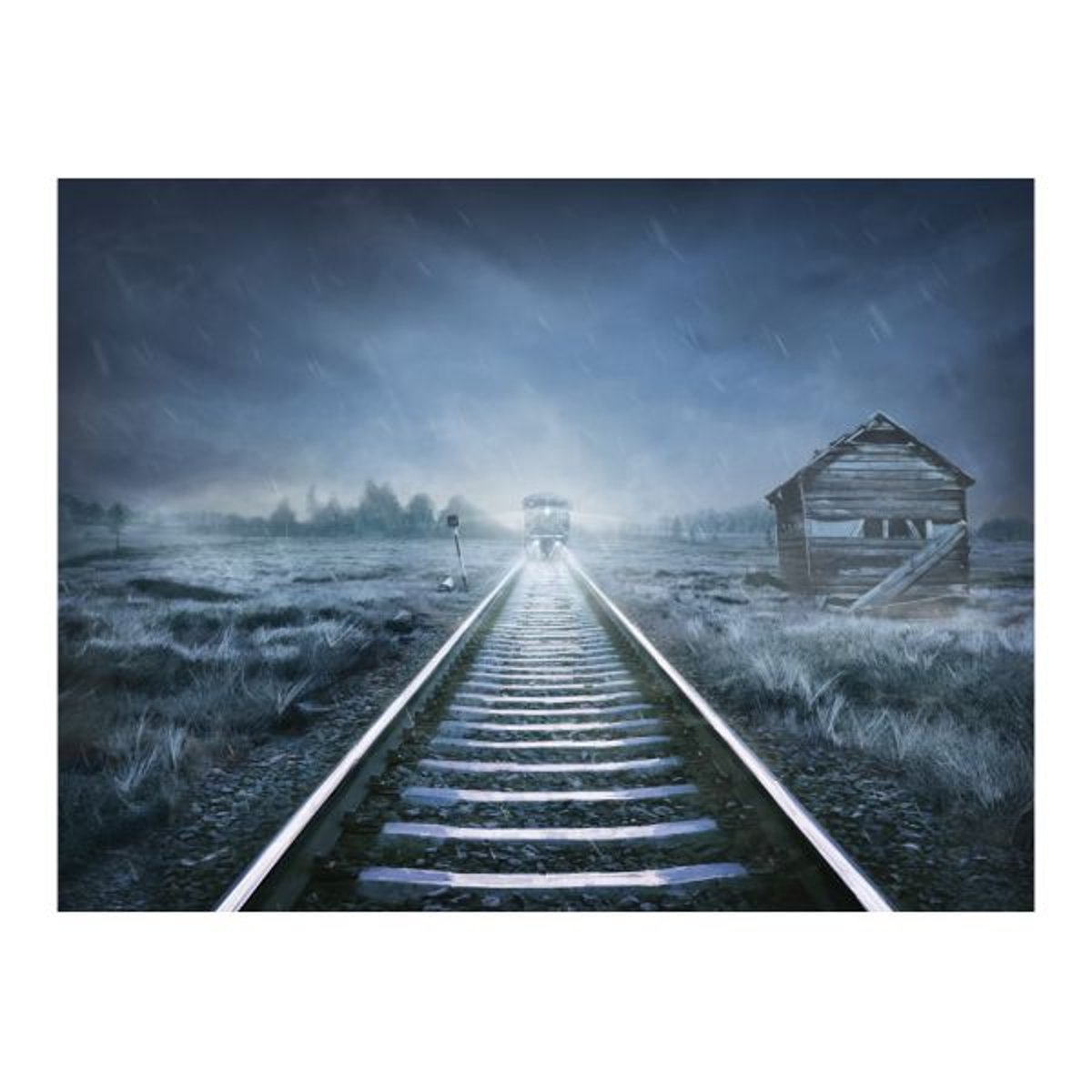 Papier peint intissé panoramique Fantaisie Le train fantôme blanc, EDEN