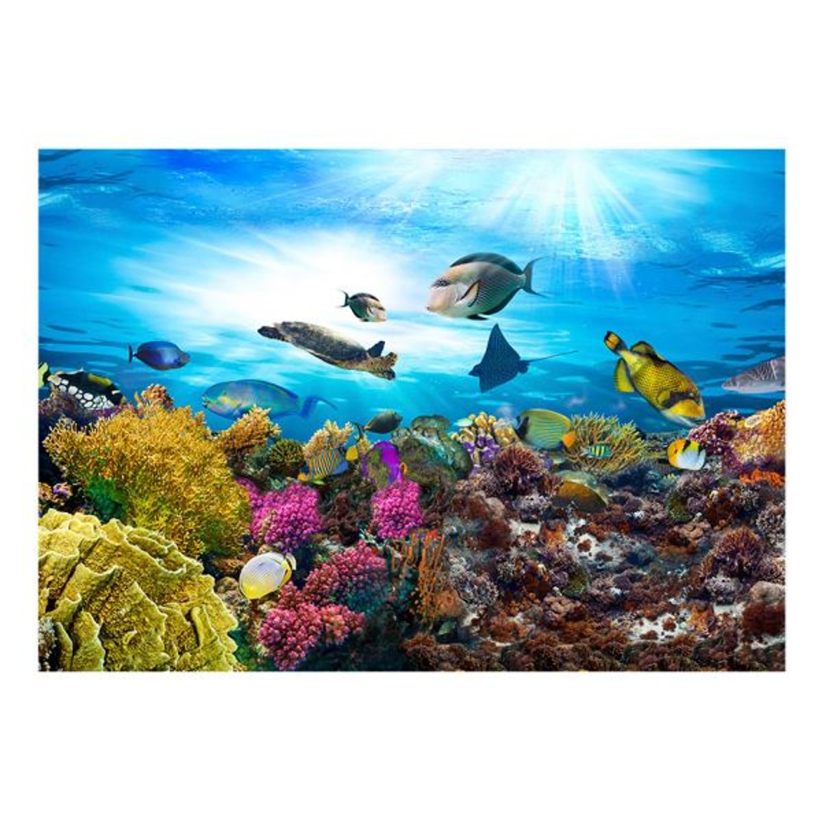 Papier peint intissé panoramique Paysage Coral reef multicouleur, EDEN